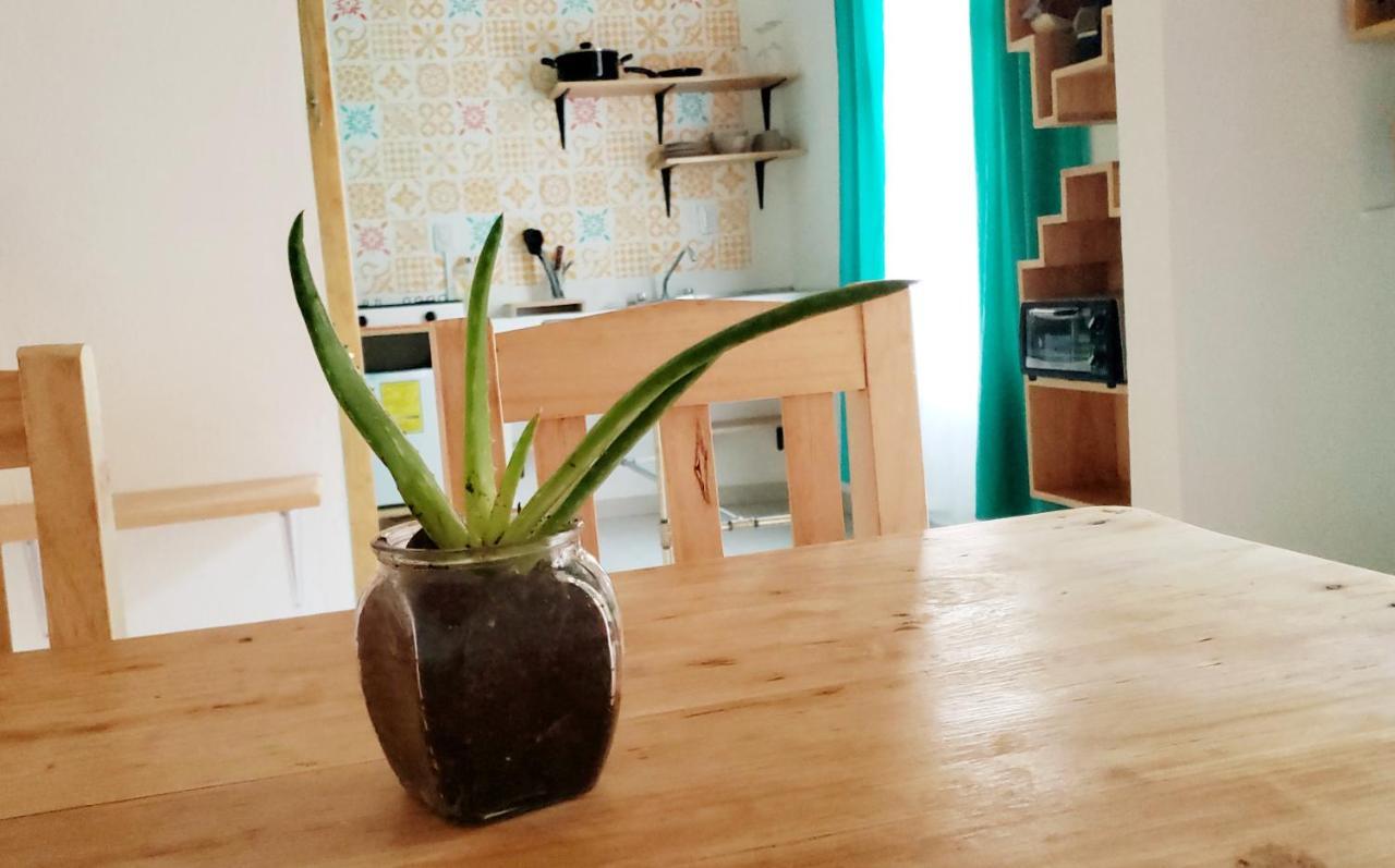 Kukul'Ik Tapancos Lägenhet San Cristóbal de Las Casas Exteriör bild